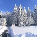 Penzion Landgasthaus Gemsennest