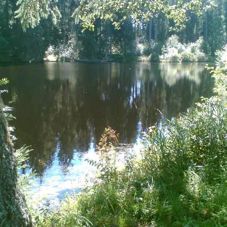 Pensjonat Landgasthaus Gemsennest Feldberg (Baden-Wurttemberg)