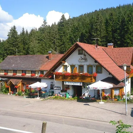 ゲストハウス Landgasthaus Gemsennest 3*