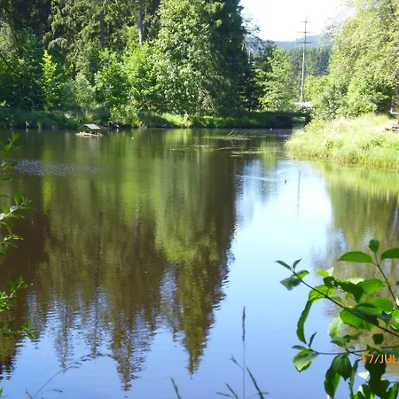 Gasthuis Landgasthaus Gemsennest Feldberg (Baden-Wurttemberg)