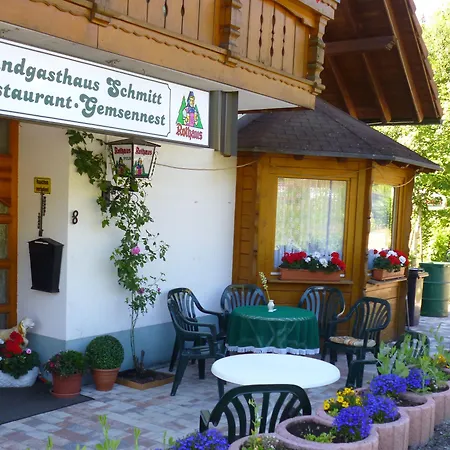 Landgasthaus Gemsennest 3*