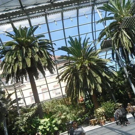 Landgasthaus Gemsennest 3* Feldberg (Baden-Wurttemberg)