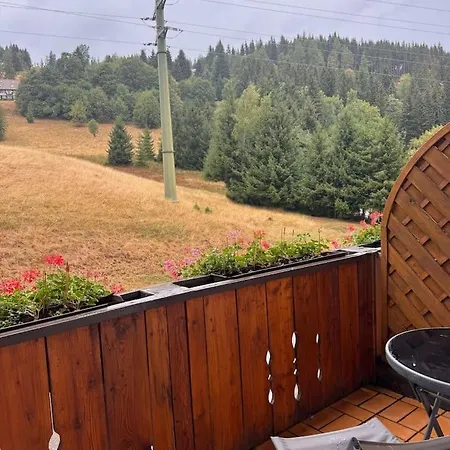 Landgasthaus Gemsennest 3* Feldberg (Baden-Wurttemberg)