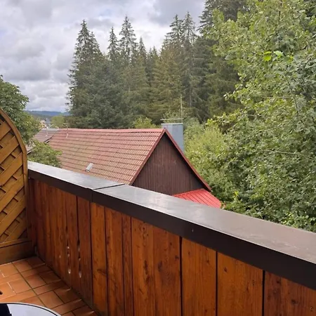 Pensjonat Landgasthaus Gemsennest Feldberg (Baden-Wurttemberg)