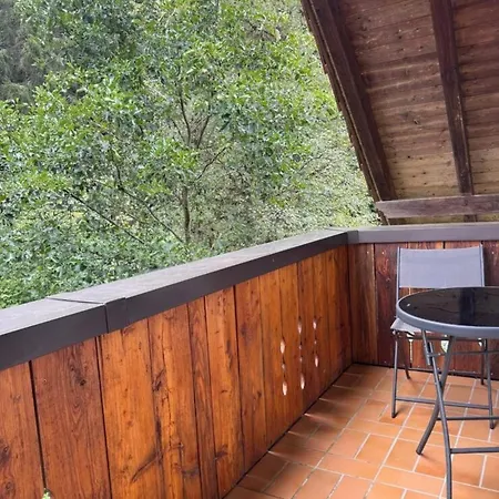 Landgasthaus Gemsennest 3* Feldberg (Baden-Wurttemberg)