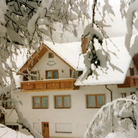 Landgasthaus Gemsennest 3* פלדברג